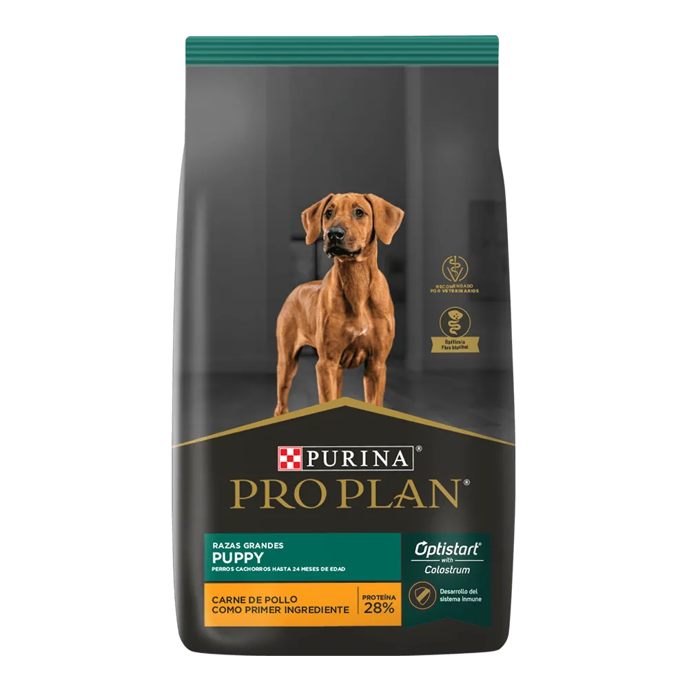 Cachorro Optistart Raza Grande