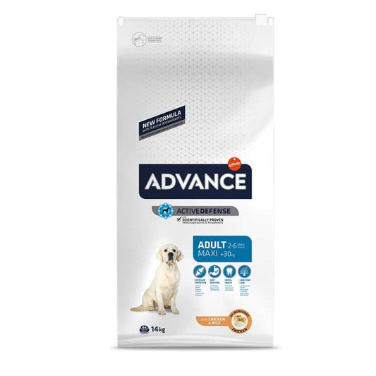 Advance Adult Maxi 14kg