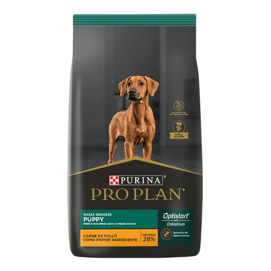 Cachorro Optistart Raza Grande